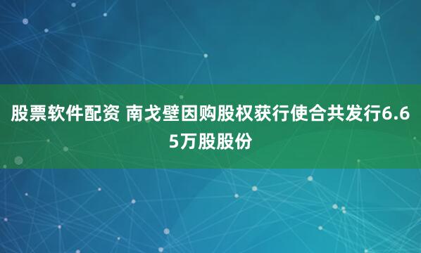 股票软件配资 南戈壁因购股权获行使合共发行6.65万股股份