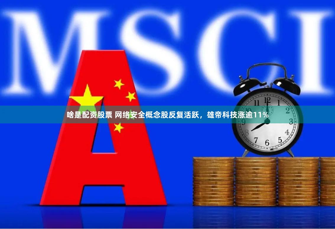 啥是配资股票 网络安全概念股反复活跃，雄帝科技涨逾11%