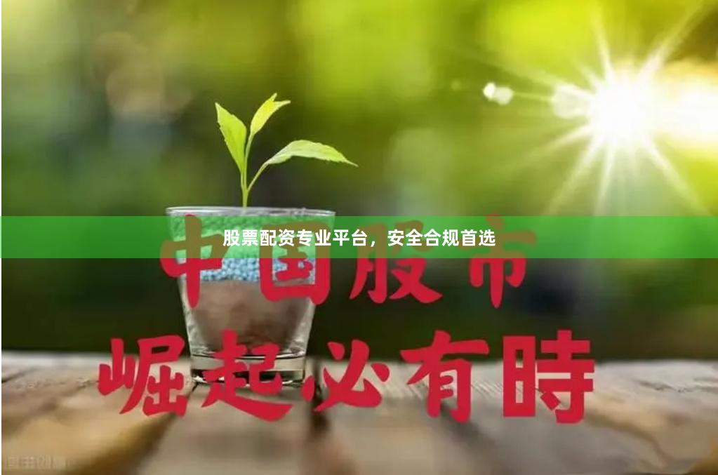 股票配资专业平台，安全合规首选